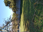 Satılır 4 sot torpaq İsmayıllı