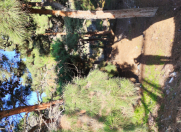 Satılır 2 sot torpaq Bakıxanov