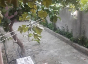 Satılır 3 otaqlı 140 m2 həyət evi Ramana