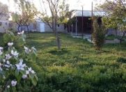 Satılır 6 sot torpaq Şamaxı