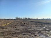 Satılır 600 sot torpaq Oğuz