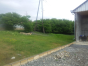 İcarəyə verilir 3 otaqlı 120 m2 həyət evi İsmayıllı