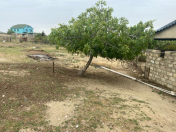 Satılır 2 otaqlı 67 m2 bağ evi Sumqayıt