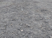 Satılır 1200 sot torpaq Xaçmaz