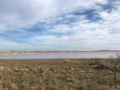 Satılır 20 sot torpaq Saray