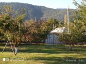 Satılır 20 sot torpaq Qəbələ