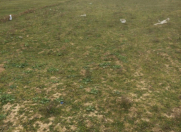 Satılır 95 sot torpaq Binə