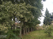 Satılır 4 otaqlı 132 m2 həyət evi Astara