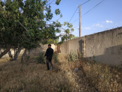 Satılır 25 sot torpaq Novxanı