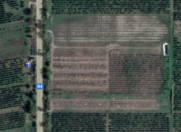 Satılır 1000 sot torpaq Quba