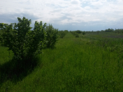 Satılır 330 sot torpaq Xaçmaz