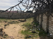 Satılır 17 sot torpaq Bilgəh