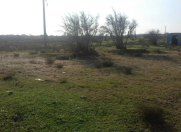 Satılır 30 sot torpaq Zirə