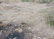 Satılır 5 sot torpaq Badamdar