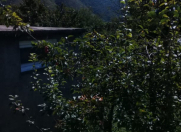 Satılır 17 sot torpaq Şəki