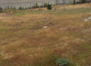 Satılır 12 sot torpaq Şağan