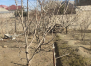 Satılır 1.6 sot torpaq Sumqayıt