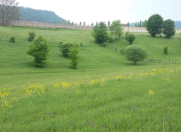 Satılır 40 sot torpaq Quba