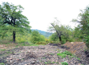 Satılır 100 sot torpaq Quba