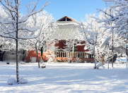 İcarəyə verilir 3 otaqlı 110 m2 həyət evi Qəbələ