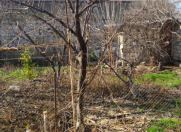 Satılır 5 sot torpaq Şirvan