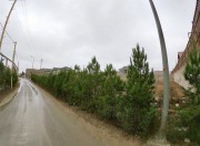 Satılır 6 sot torpaq Şağan