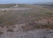 Satılır 4 sot torpaq Görədil