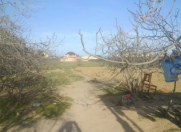 Satılır 25 sot torpaq Albalı