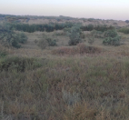 Satılır 12 sot torpaq Sabirabad