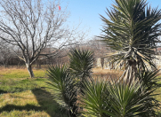 Satılır 10 sot torpaq Mehdiabad