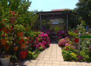 Satılır 6 otaqlı 190 m2 bağ evi Xaçmaz