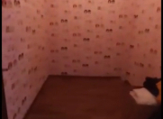 Satılır 3 otaqlı 80 m2 yeni tikili Xırdalan