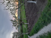 Satılır 4 otaqlı 100 m2 bağ evi İsmayıllı