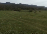 Satılır 100 sot torpaq Qusar