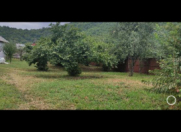 Satılır 7 sot torpaq Qəbələ