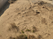 Satılır 6 sot torpaq Kürdəxanı