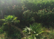 Satılır 6 otaqlı 200 m2 bağ evi Görədil