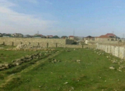 Satılır 50 sot torpaq Zabrat 1