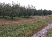 Satılır 200 sot torpaq Xaçmaz