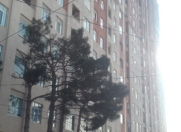 Satılır 1 otaqlı 62 m2 yeni tikili Qara Qarayev m.