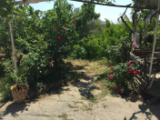 Satılır 6 sot torpaq Badamdar