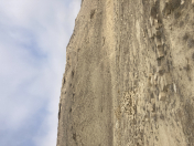 Satılır 6 sot torpaq Lökbatan