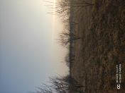 Satılır 142 sot torpaq Göyçay