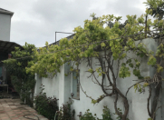 Satılır 7 otaqlı 200 m2 həyət evi Savalan