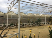 Satılır 1 otaqlı 1500 m2 obyekt Türkan