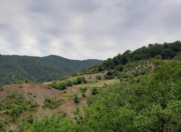 Satılır 8 sot torpaq İsmayıllı