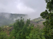 Satılır 5 otaqlı 80 m2 həyət evi İsmayıllı