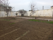 Satılır 7 sot torpaq Xalqlar Dostluğu m.