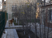 Satılır 6 otaqlı 520 m2 həyət evi Masazır