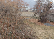 Satılır 6 sot torpaq Qəbələ